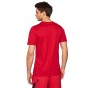 Nike Mj Jumpman Air Embroidered Tee Ah5296 687-koszulka widok tył