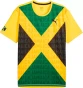 Puma Flag Tee M Po Jamaica 606300 02-koszulka widok przód