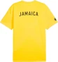 Puma Flag Tee M Po Jamaica 606300 02-koszulka widok tył