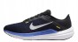 Nike Air Winflo 10 Dv4022 005-but skierowany w lewo