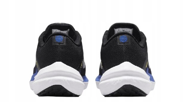 Nike Air Winflo 10 Dv4022 005-buty widok z tyłu