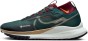 Nike react pegasus trail 4 gtx v2 hm9728 300-but ustawiony w lewo
